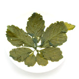 GOARTEA Premium Seven Leaf Jiaogulan Gynostemma Chinese Herbal GREEN TEA Loose Leaf