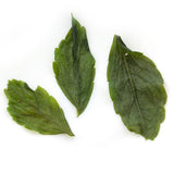 GOARTEA Supreme Seven Leaf Jiaogulan Gynostemma Chinese Herbal GREEN TEA Loose Leaf