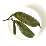 GOARTEA Premium Needle Kuding Bitter Herbal Green Tea Chinese Spike Loose Large-leaf