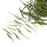 GOARTEA Premium Spring Huangshan High Mountain Mao Feng Maofeng Loose Leaf Chinese Green Tea