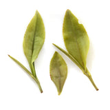 GOARTEA Premium Spring Huangshan High Mountain Mao Feng Maofeng Loose Leaf Chinese Green Tea